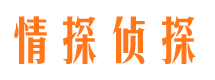 子洲侦探